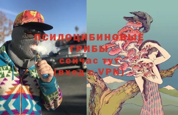 хмурый Гусиноозёрск
