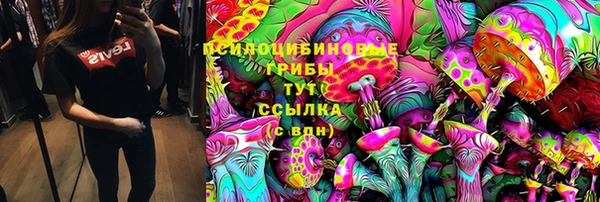 кокс Гусь-Хрустальный